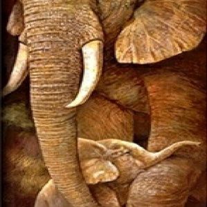 Meet your Posher, Patricia